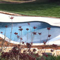 Pool installation - completed