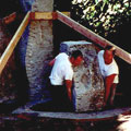 Stone sculptures — installation (sculptures by Suzanne Biaggi)