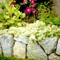 Stone planter